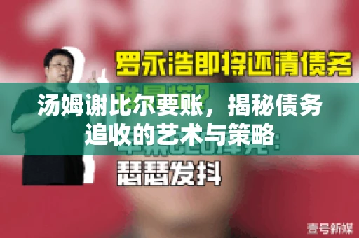 汤姆谢比尔要账，揭秘债务追收的艺术与策略