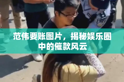 范伟要账图片，揭秘娱乐圈中的催款风云