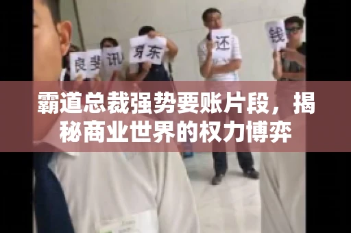 霸道总裁强势要账片段，揭秘商业世界的权力博弈