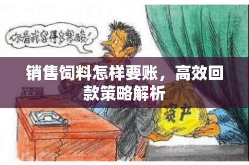 销售饲料怎样要账，高效回款策略解析