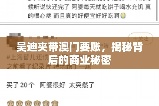 吴迪夹带澳门要账，揭秘背后的商业秘密