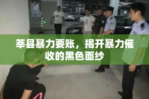 莘县暴力要账,揭开暴力催收的黑色面纱 莘县暴力要账,揭开暴力催收的黑色面纱