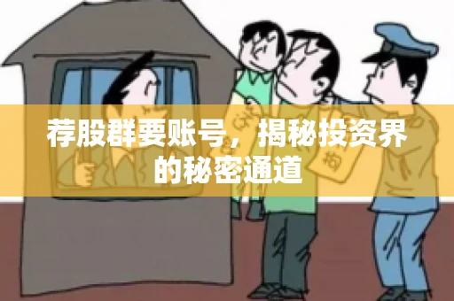 荐股群要账号，揭秘投资界的秘密通道