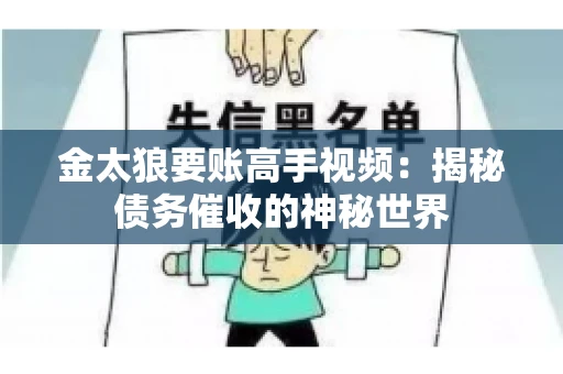 金太狼要账高手视频：揭秘债务催收的神秘世界