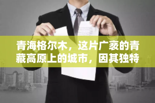 青海格尔木，这片广袤的青藏高原上的城市，因其独特的地理位置和丰富的自然资源而闻名。然而，对于一些借款人来说，这里可能因为逾期还款而接到催收电话。那么，青海格尔木的催收电话是哪家公司的呢？今天，我们就来聊聊这个话题。